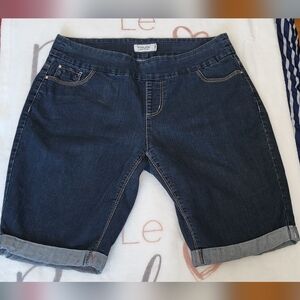 Point Zero Indigo Denim Shorts